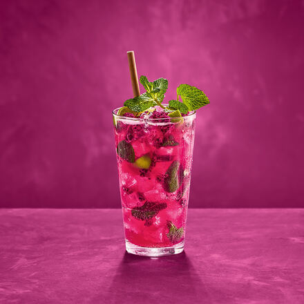 Drachenfrucht Moskito